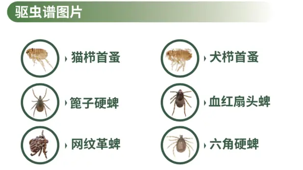 礼蓝动保体外驱虫可立奥于,京东宠物健康线上首发 礼蓝动保体外驱虫可立奥于,京东宠物健康线上首发