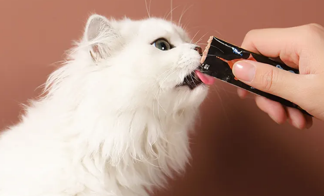 狗可以吃猫条吗