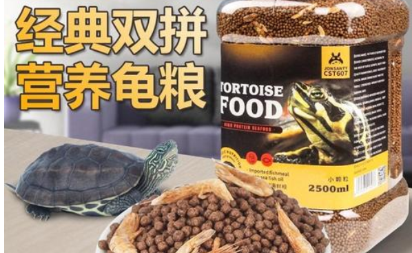 乌龟龟粮怎么喂 乌龟龟粮怎么喂