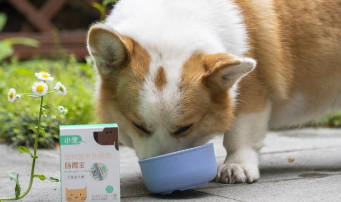 益生菌狗能吃吗 益生菌狗能吃吗