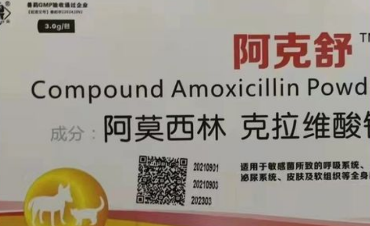 狗狗抗菌消炎药有哪些