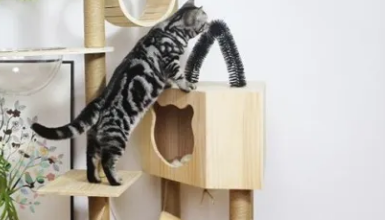什么牌子的猫爬架质量好 什么牌子的猫爬架质量好