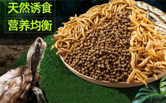 巴西龟龟粮推荐 巴西龟龟粮推荐