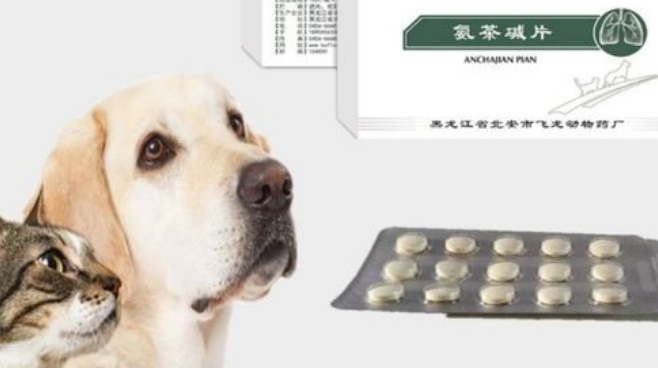 兽药“氨茶碱”的药理药效与临床使用技术 兽药“氨茶碱”的药理药效与临床使用技术