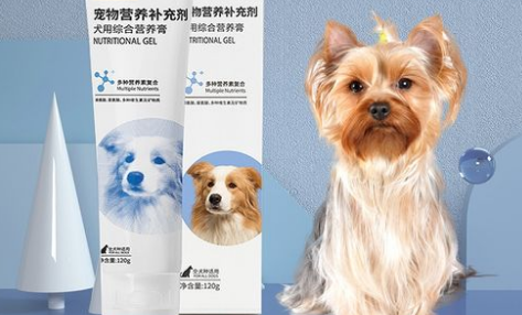 狗狗只吃营养膏能行吗