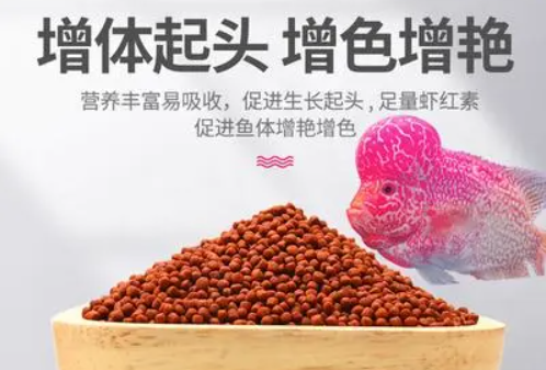 罗汉鱼公认最好的鱼粮是哪个 罗汉鱼公认最好的鱼粮是哪个