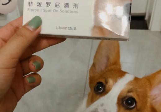 狗狗体外驱虫药品牌