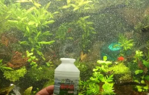 硝化细菌和硝化活菌一样吗