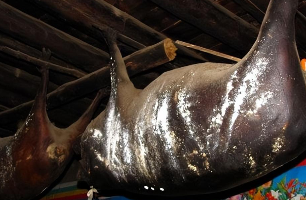 一头猪吊53年，专门用来招待贵宾，吃了不会中毒吗？