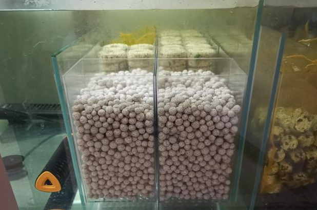硝化细菌价格