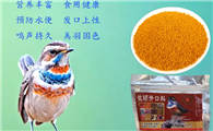 靛颏鸟的饲料怎么配比