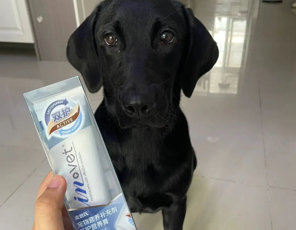 狗狗有没有必要吃营养膏