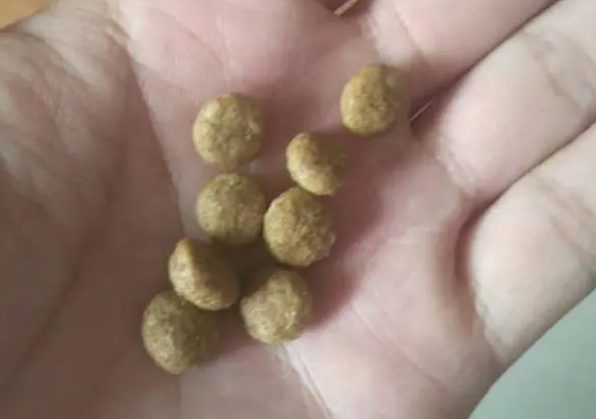 丝倍亮狗粮全面测评,到底怎么样? 丝倍亮狗粮全面测评,到底怎么样?