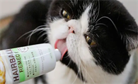 猫咪营养膏有啥用