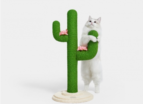 猫爬架什么品牌好 猫爬架什么品牌好