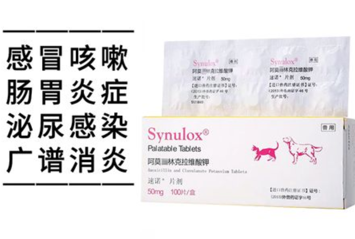 狗狗一般吃什么消炎药 狗狗一般吃什么消炎药