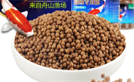 鱼粮可以喂乌龟吗
