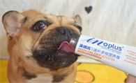 狗狗吃营养膏有什么好处