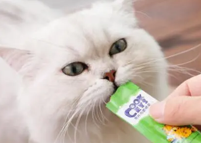 猫咪一顿吃多少猫条