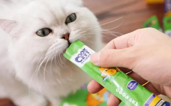 猫咪一天能吃多少猫条