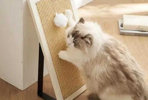 猫爪板有什么用