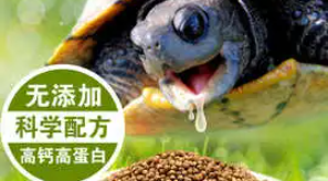 龟粮和鱼粮的区别