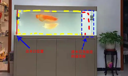 鱼缸底部的水怎么弄出来 鱼缸底部的水怎么弄出来