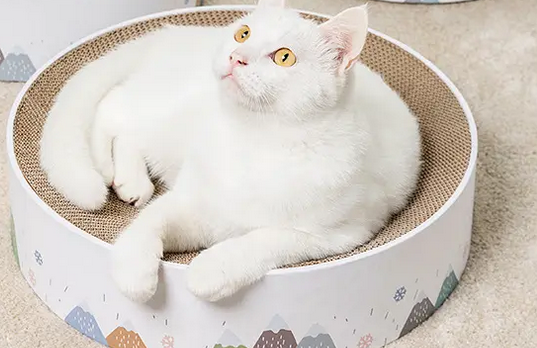 小猫要用猫抓板吗