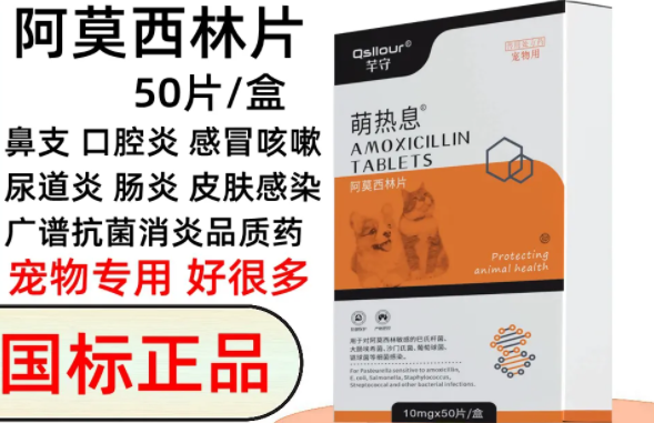 狗狗感冒吃什么感冒药好