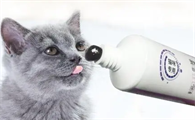 宠物猫营养膏哪个牌子好