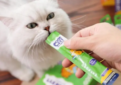 猫咪拉稀能吃猫条吗