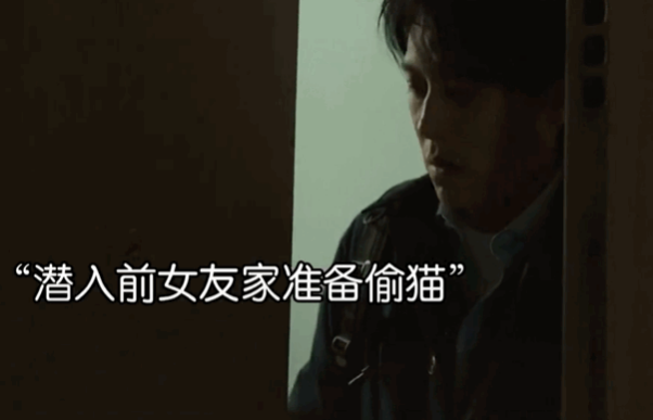 男子深夜入室偷猫，被前任抓个正着，情侣分手后抚养权该归谁？