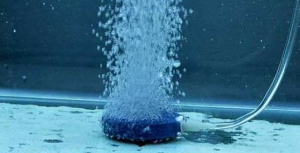 鱼缸增氧泵可以给人用吗