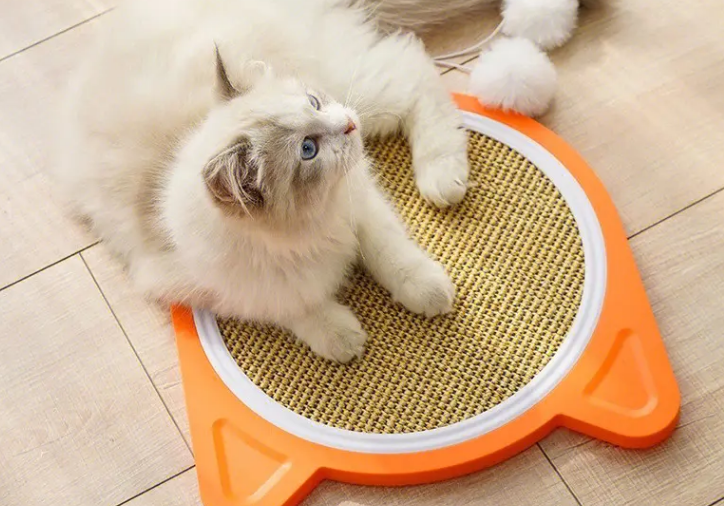 猫抓板买什么形状