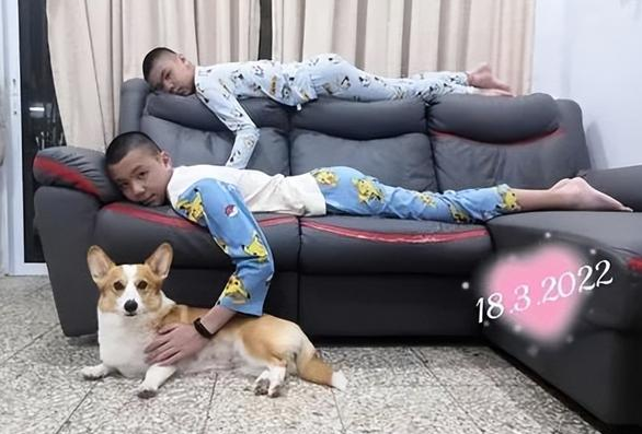 柯基跟小主人一起长大，经过4年后，身材瞬间抽高！
