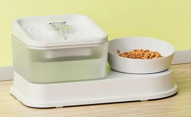 猫咪的饮用水需要多久更换一次？如何提高猫喝水的兴趣？