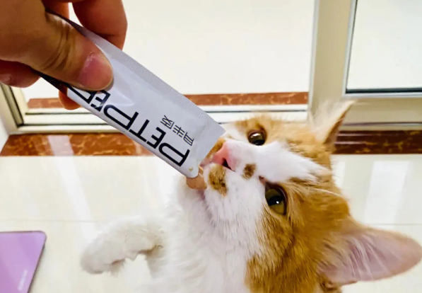 猫咪一天吃几根猫条合适