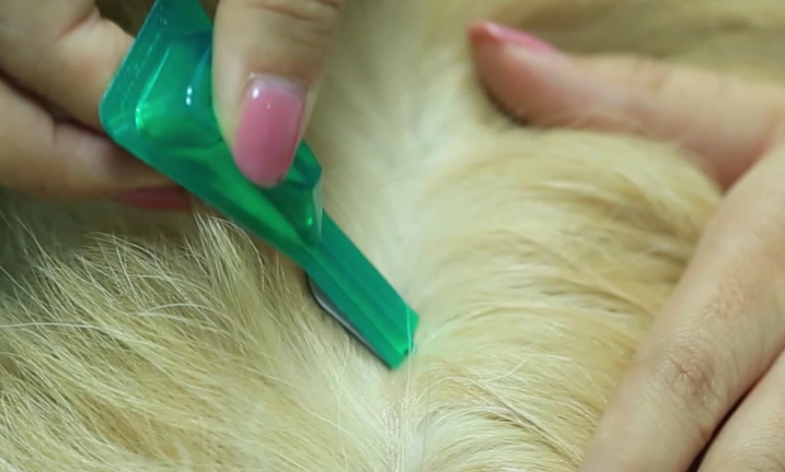 狗狗体外驱虫真的有用吗