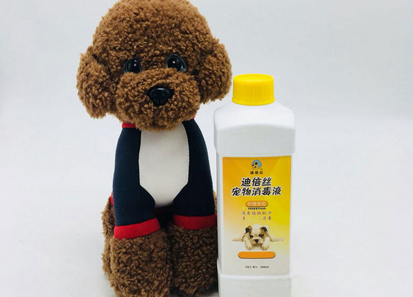 宠物店用什么消毒