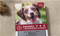 狗狗体外驱虫哪个好