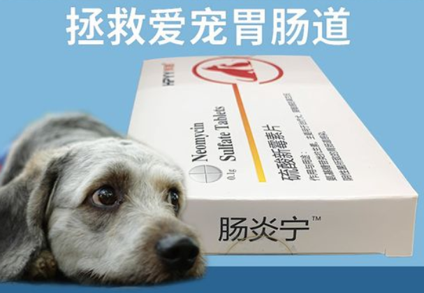 狗狗拉肚子消炎药有哪些
