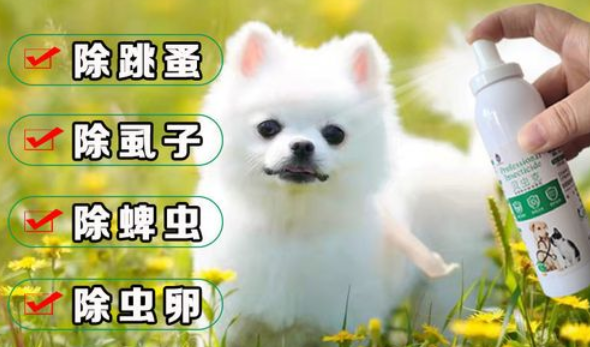 狗狗体外驱虫药多久有效果