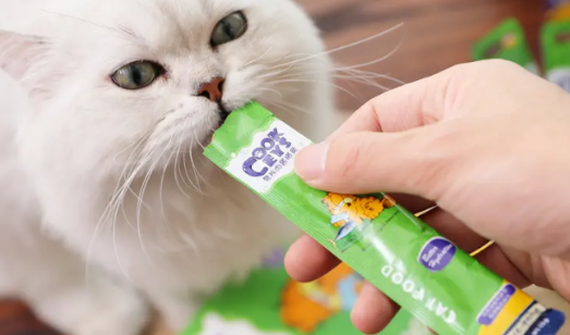 猫条一根多少钱