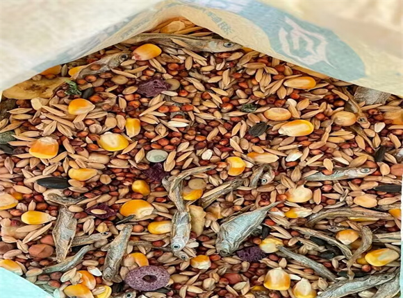 在哪里可以买到仓鼠粮 在哪里可以买到仓鼠粮