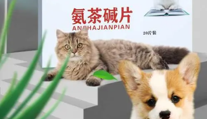 兽药“氨茶碱”的药理药效与临床使用技术 兽药“氨茶碱”的药理药效与临床使用技术