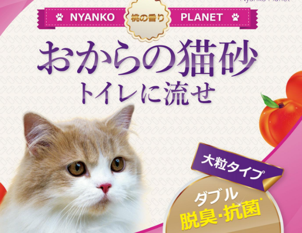 星际喵品牌:来自以爱培育品质著称的爱猫研究中心 星际喵品牌:来自以爱培育品质著称的爱猫研究中心