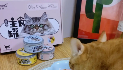纽衡主食罐头~小猫咪的肉食盛宴 纽衡主食罐头~小猫咪的肉食盛宴