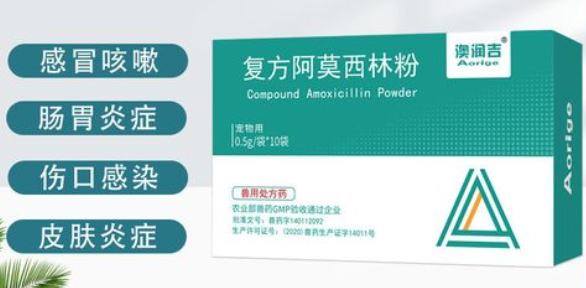 泰迪狗感冒打喷嚏吃什么药