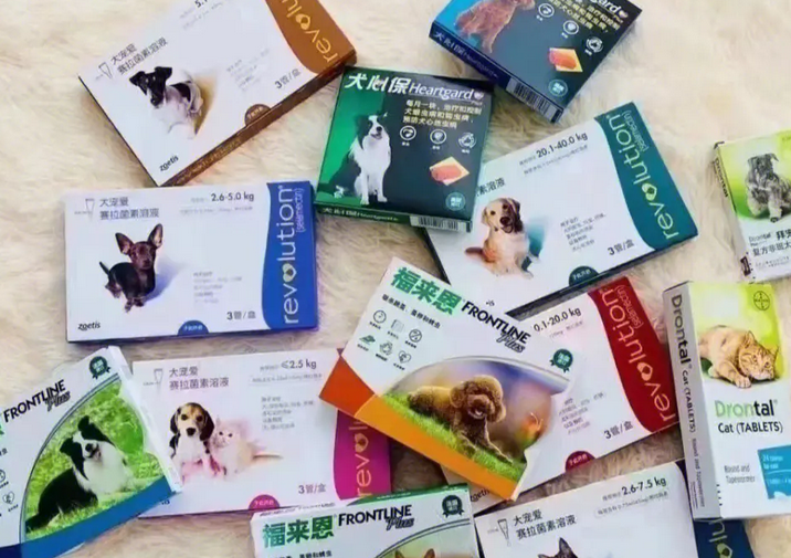 宠物狗怎么体内驱虫