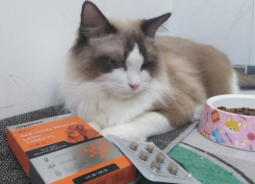 猫咪消炎的药是什么药